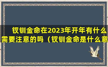 钗钏金命在2023年开年有什么需要注意的吗（钗钏金命是什么意思 这个命好不好）